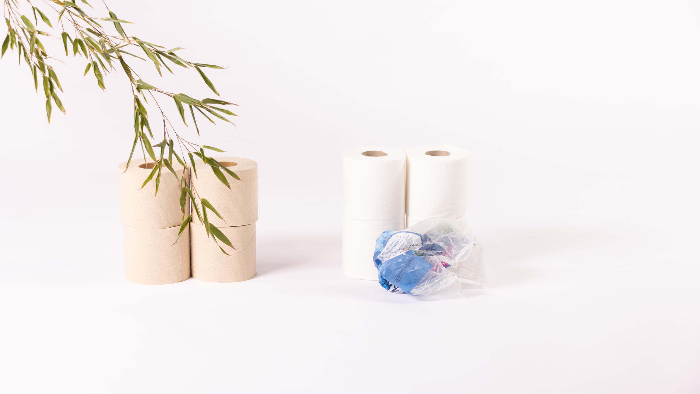 Five Ways Tissue Paper Harms the Environment (and how we can do better)