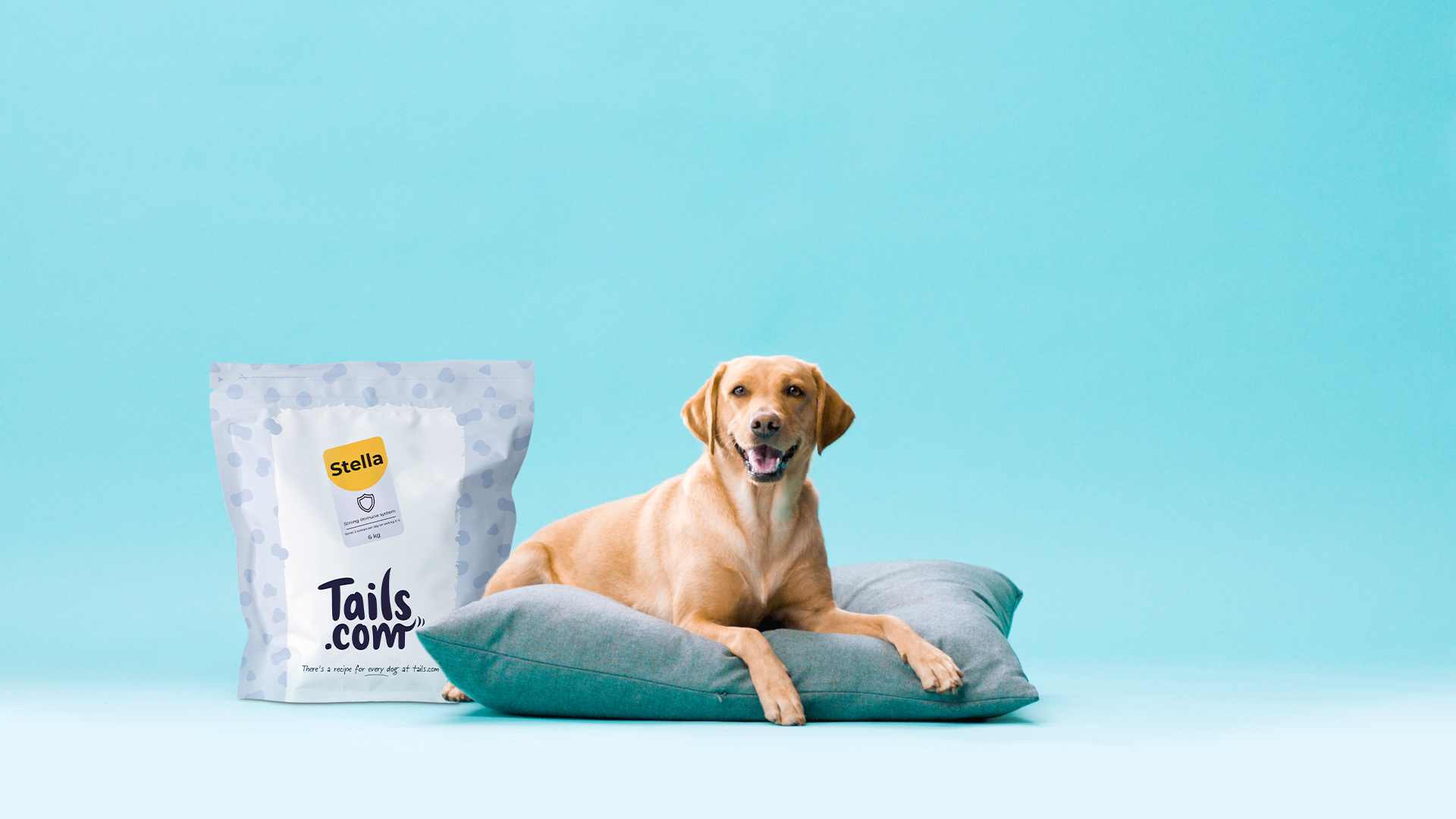 Tailored Nutrition for your Dog with tails.com