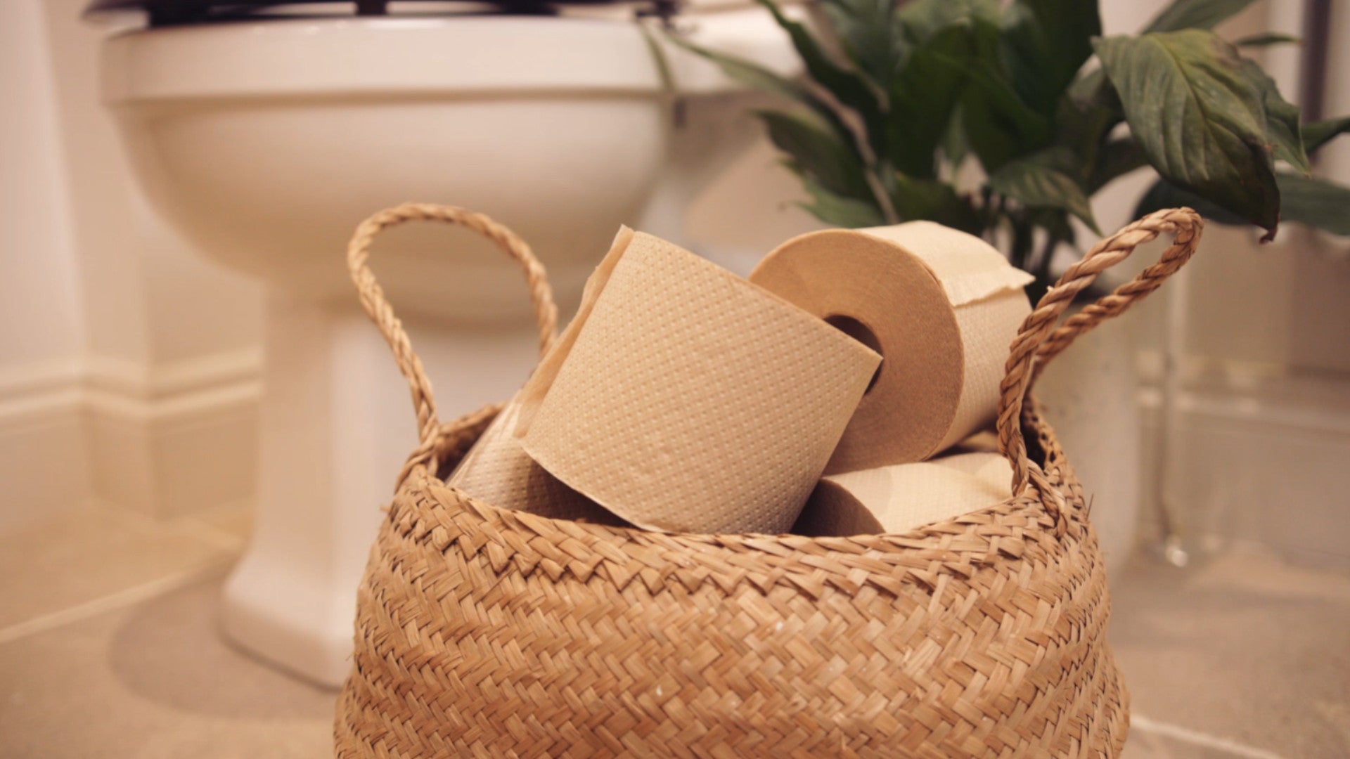 Eco Friendly Toilet Rolls: Five Reasons to Make the Change