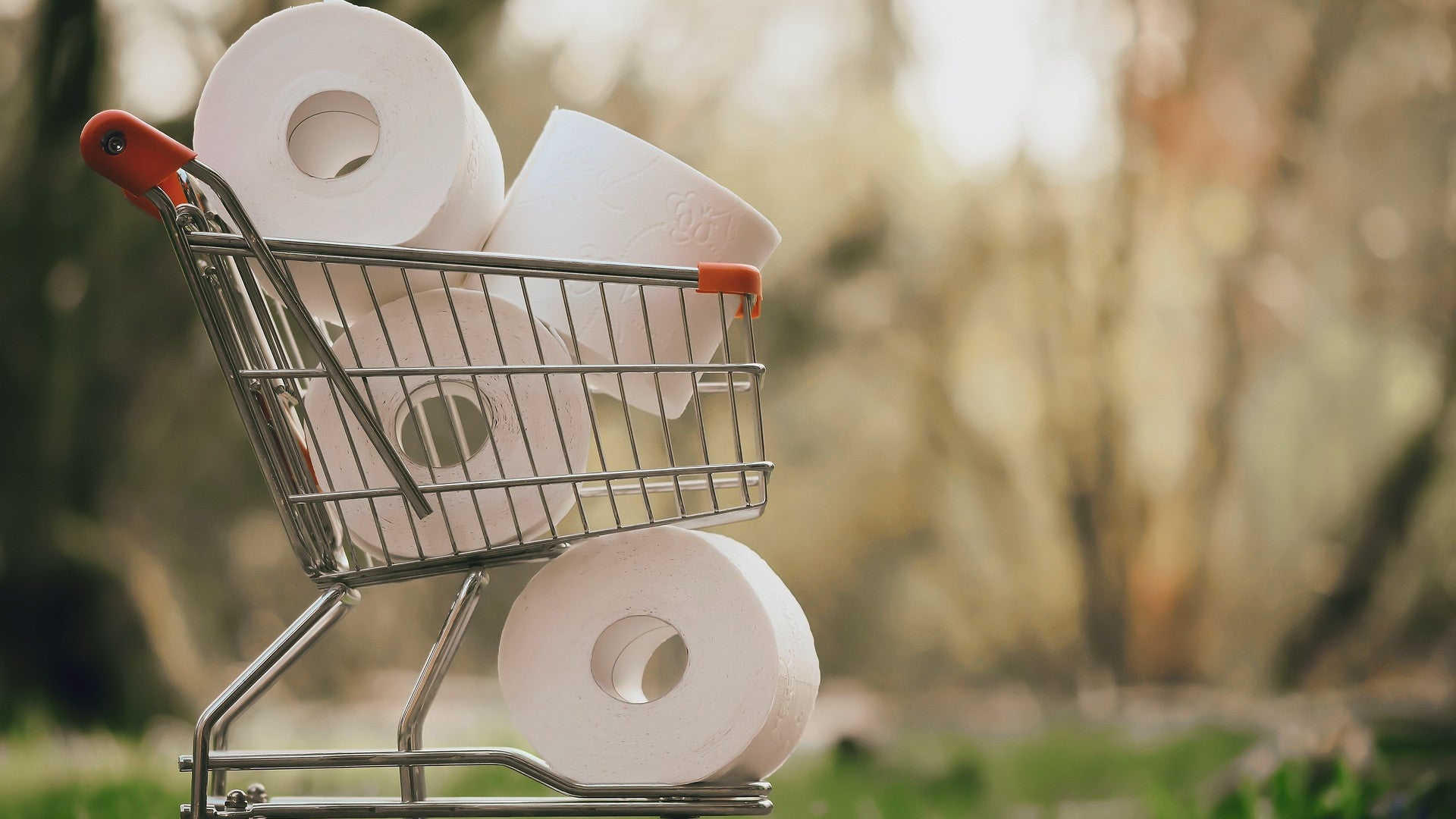 Why did People Panic-Buy Toilet Rolls during COVID-19?